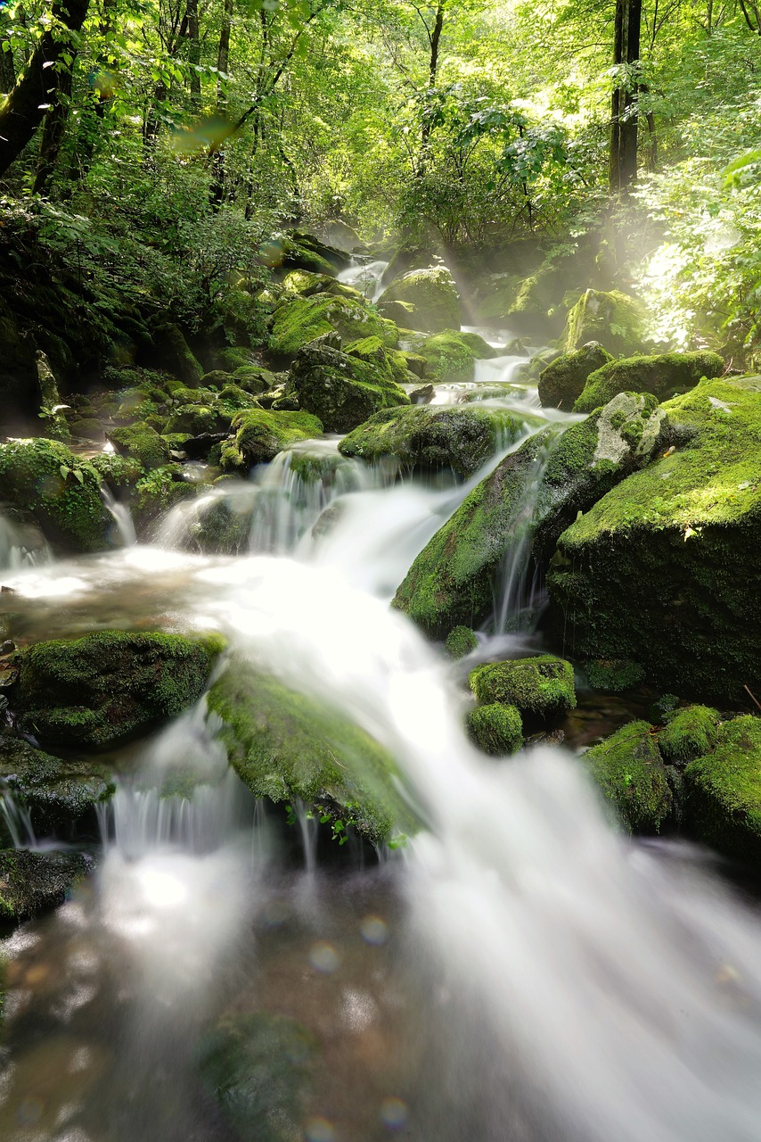 brook, water, clean-4396590.jpg